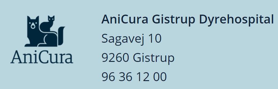 AniCura Gistrup Dyrehospital