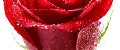800Px COLOURBOX1594522